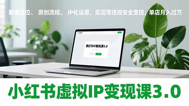 小红书虚拟IP变现课3.0，赛道定位、原创流程、IP化运营，实现零违规安全变现，单店月入过万-小目标云网创